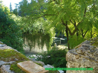 RESTAURACION VERSUS RECREACIÓN