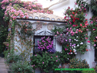 LOS PATIOS DE CÓRDOBA SE ENGALANAN POR NAVIDAD