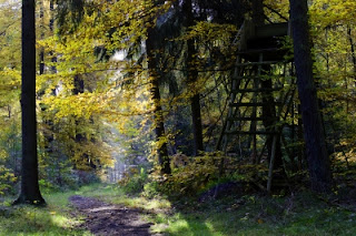 EL PUNTO FRIKI DEL PAISAJISMO
