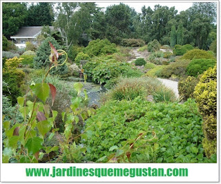 Jardines que me gustan: The Royal Botanic Garden Edinburgh