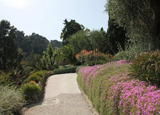 COMO ESTABLECER HIDROZONAS EN EL DISEÑO DE UN XEROJARDÍN