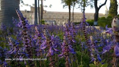 Los tres pilares del jardín sostenible