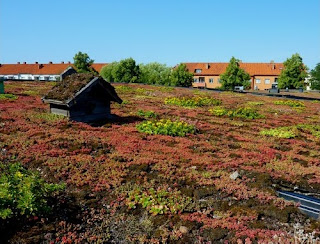 Las cubiertas vegetales de Malmö