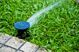 COMO DISTRIBUIR LOS DIFUSORES Y ASPERSORES EN EL JARDIN