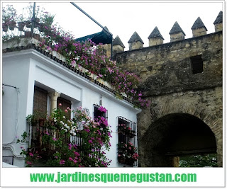 Crónica de un paseo por Córdoba
