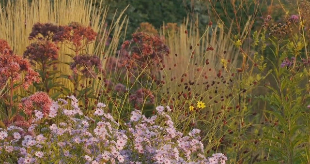 Jardín de perennes del estudio de Piet Oudolf