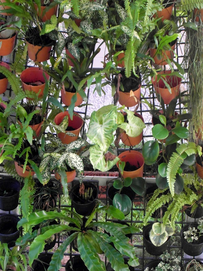 El jardín escondido