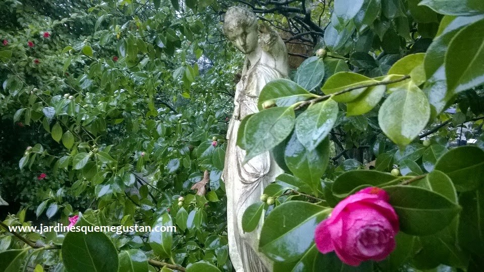 El Jardín Botánico Atlántico de Gijón