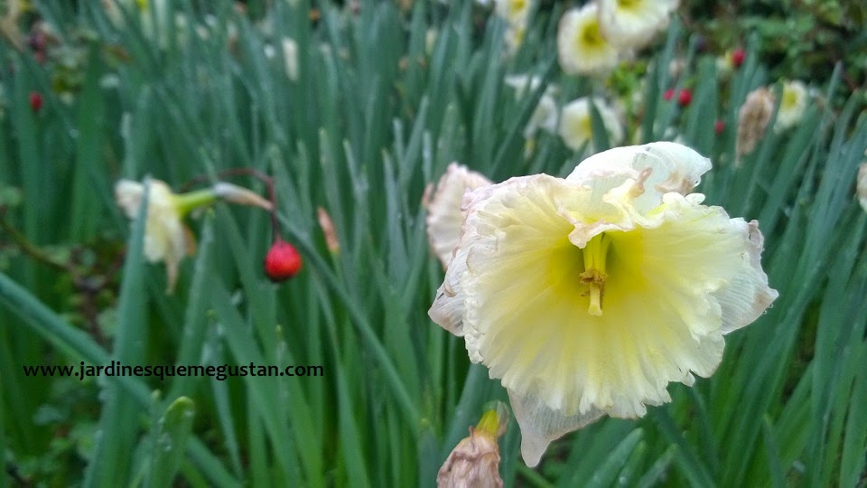 De flores y primavera