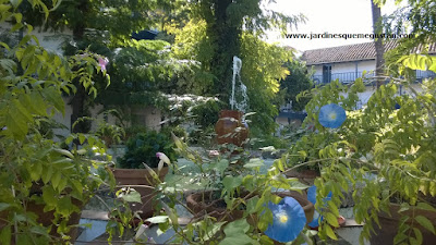 Un corral con su patio