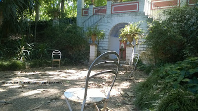 Ophiopogon, discreto y elegante