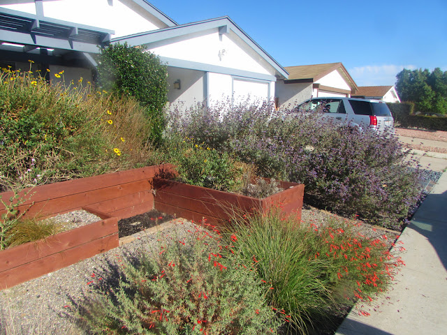 El jardín geométrico