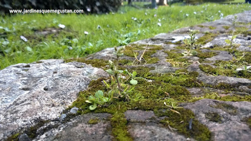 No existe el jardín a coste cero