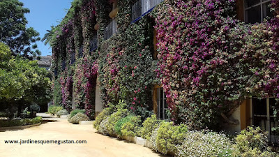 El duende de los jardines del Palacio de Dueñas