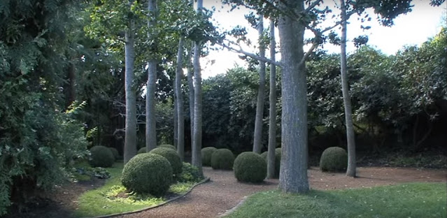 Bosquecillo y topiara en Madoo Garden