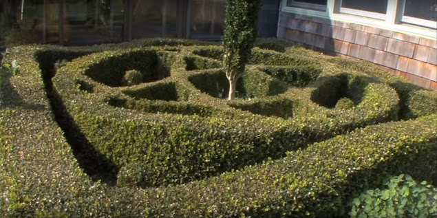 Formas y figuras vegetales