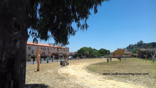 El parque bajo la sombra del eucalipto