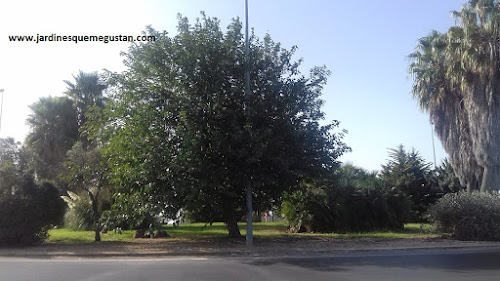 Rotonda con profusa vegetación