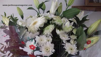 Flores para Silvia
