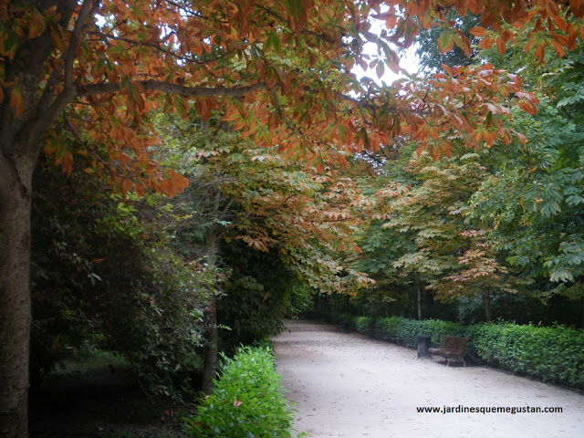 Otoño inédito