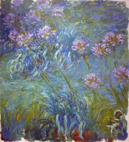 Agapantos - Monet