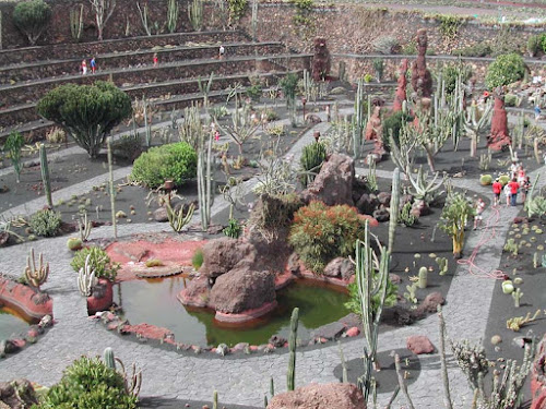 Jardín de Cactus Jardín de Cactus