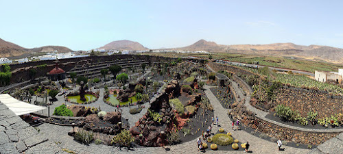 Jardín de Cactus Jardín de Cactus