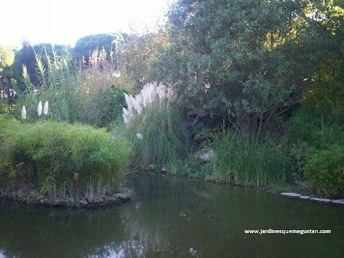 Lámina de agua que proporciona frescor en el jardín