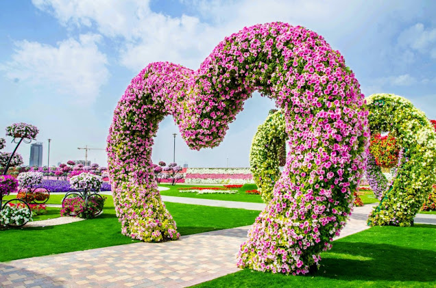 Miracle Garden