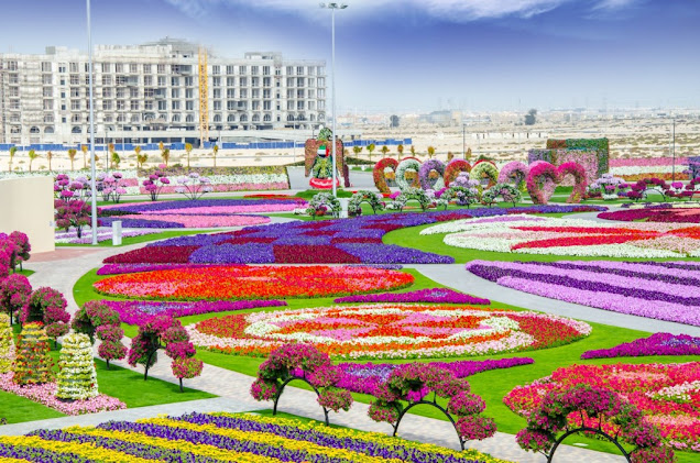 Miracle Garden