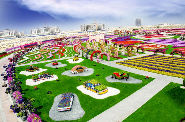 Miracle Garden