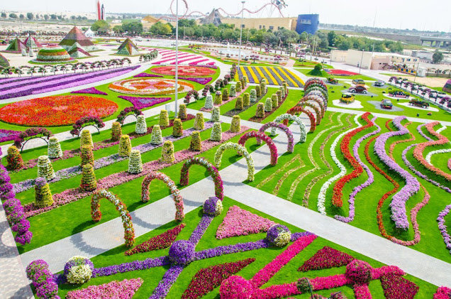 Miracle Garden