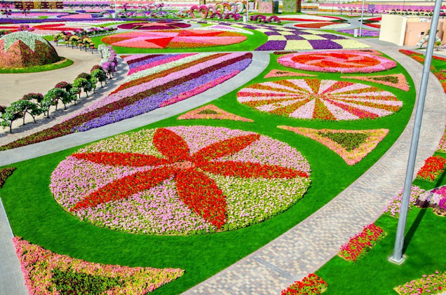 Miracle Garden