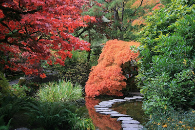 El camino del jardín debe ser atractivo, una invitación a transitar por él El camino del jardín debe ser atractivo, una invitación a transitar por él