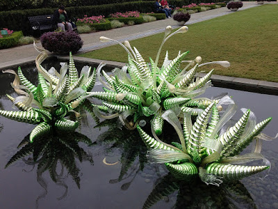 Causa y efecto en el jardín