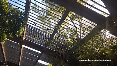 Umbráculo del Jardín Americano