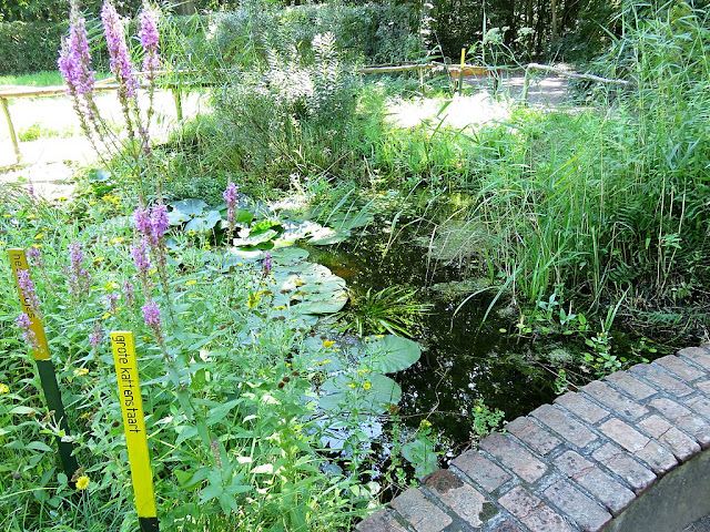 Lago en Thijsse’s Hof Lago en Thijsse’s Hof