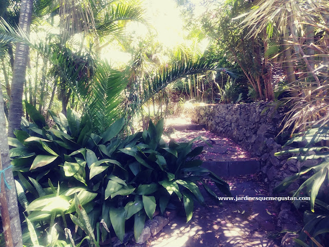 Senderos paisajísticos