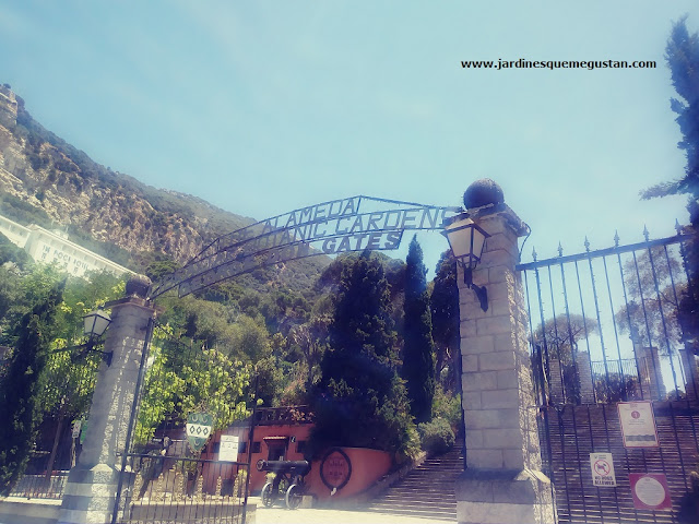Entrada al Jardín Botánico