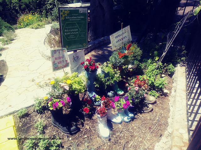 Huerto infantil para educación ambiental