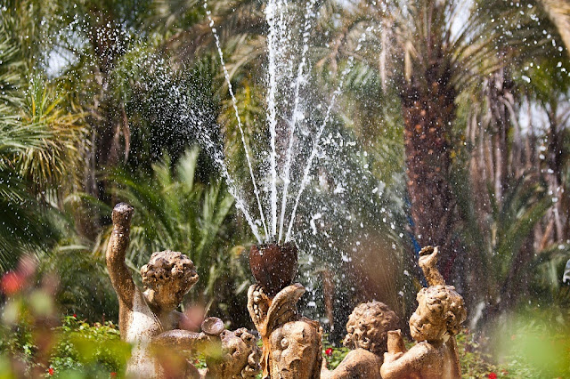Agua y jardín