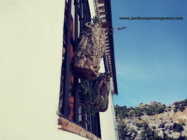 “Macetas” colgadas en la ventana