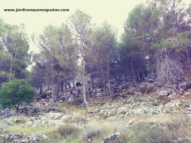 La Sierra y restos de ruinas