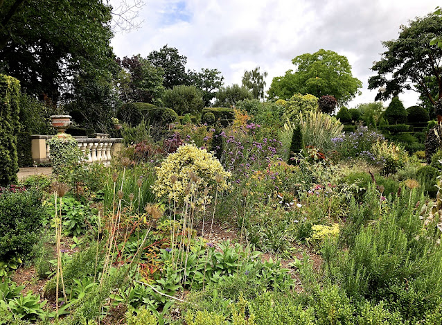 Plantación de perennes