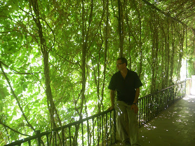 También en el Alcázar de Sevilla, en esta imagen ya se me ve la cara 