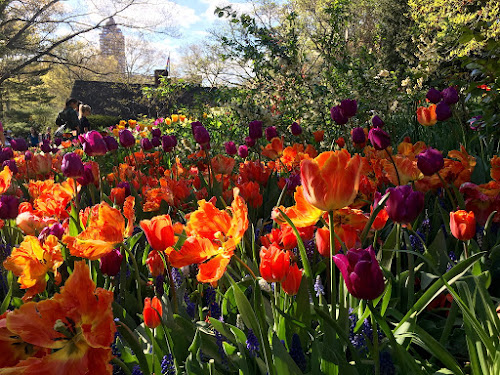 Jardín de Shakespeare en Central Park