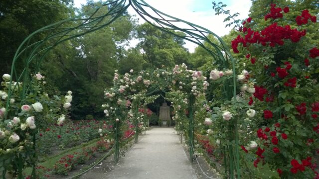 Estructuras metálicas, un clásico para jardín