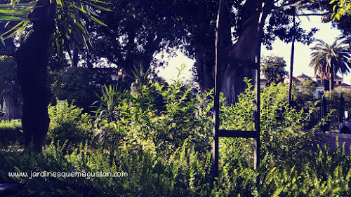 Vegetación en los Jardines de Murillo