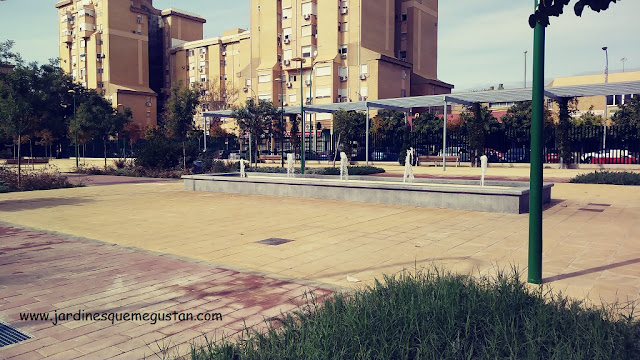 Lámina de agua y surtidores