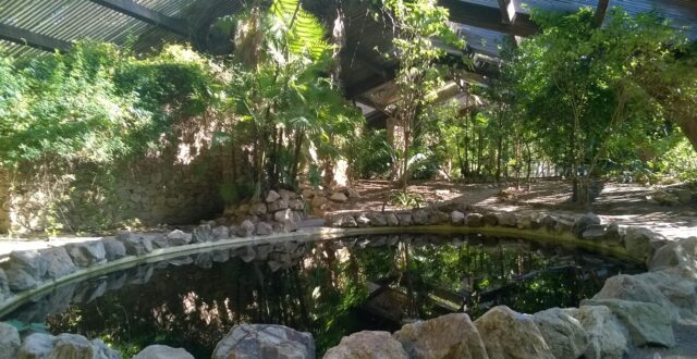 Jardín Americano de la Isla de la Cartuja